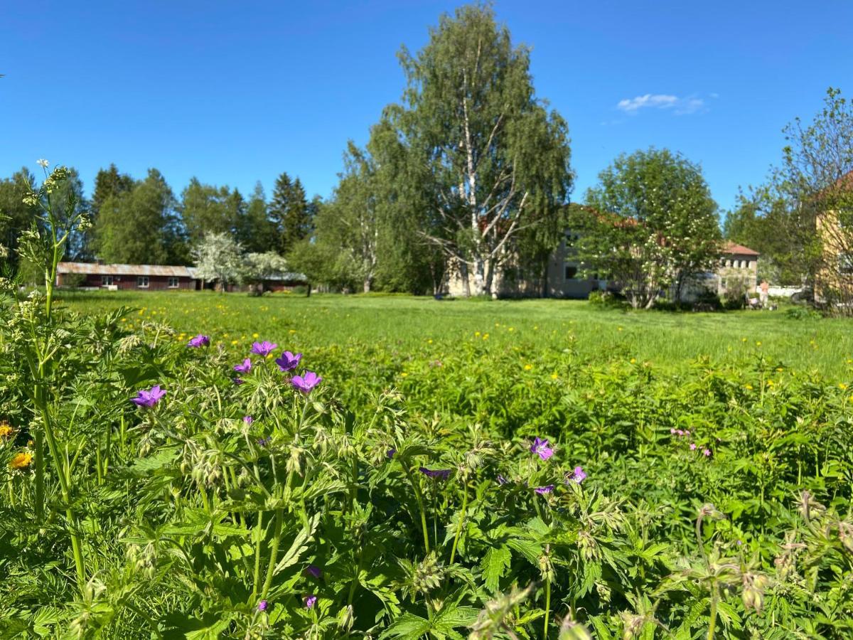 Vojakkala Vandrarhem Haparanda  Exterior photo